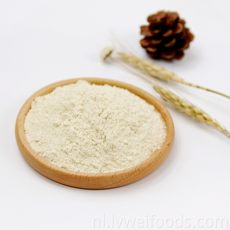 Dehydrated Onion Powder